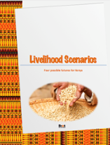 livelihood-scenarios